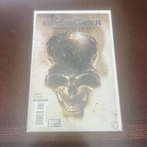 ghost rider trail of tears direct edition 1